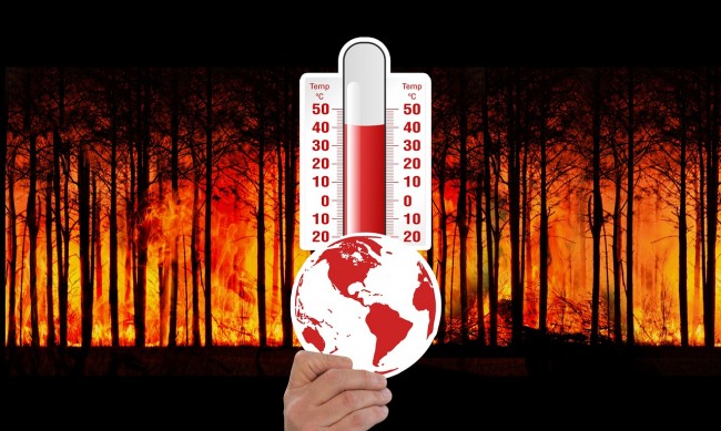 Екстремните горещини причиняват все по-висока смъртност
