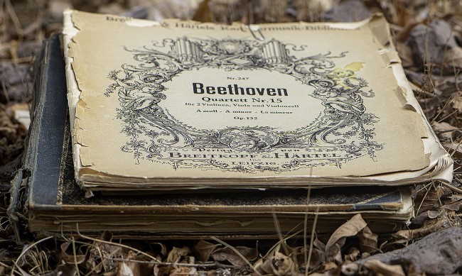 Защо Бетовен е оглушал? 