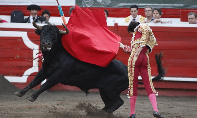 В Колумбия забраниха борбата с бикове