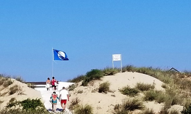 Вижте кои 22 наши плажа и пристанище за яхти са със "Син флаг"