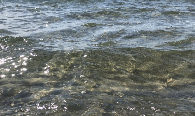 Министри проверят качеството на морската вода край Шкорпиловци