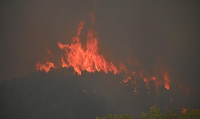 12 пожарни борят огнена стихия на остров Хиос