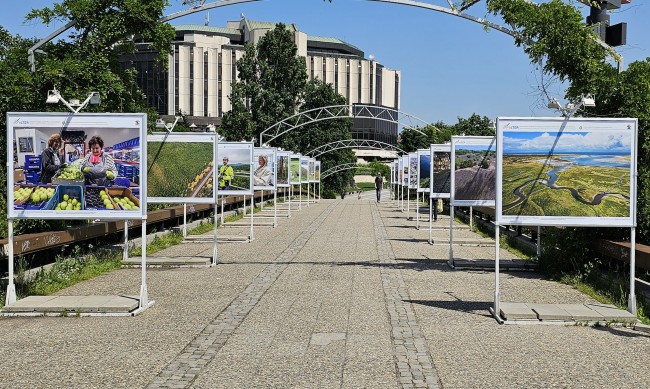 Изложба: Учените, които се борят с климатичните промени