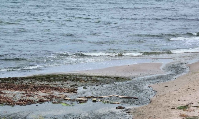 Установиха замърсяване на морето на централния плаж в Кранево 