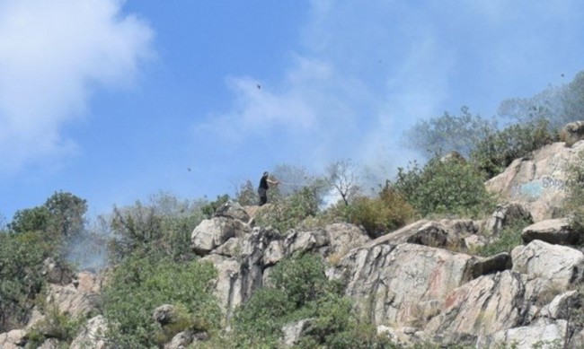 Пожар пламна на Младежкия хълм в Пловдив