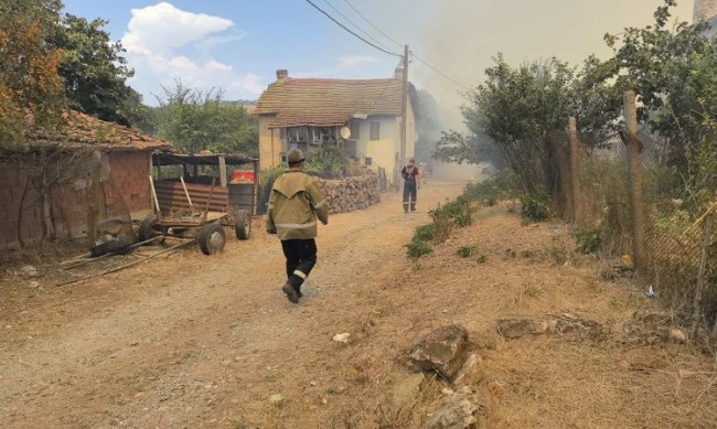 МВнР с молба до Турция за съдействие в борбата с пожарите
