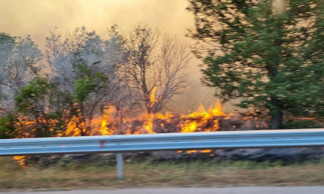 Критично: Пожар край бензиностанция в Харманли