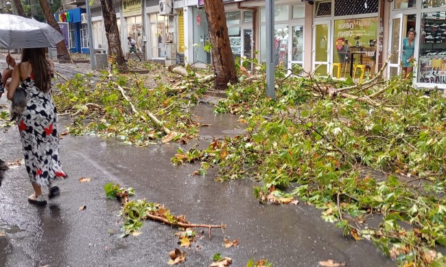Силна буря удари Бургас, има паднали дървета 