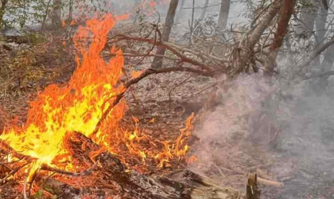 Пожар гори на 4000 декара в планината Пъстрина край Монтана