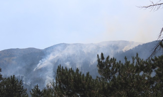 Ще искаме от ЕС самолет за гасене на пожара в планината Славянка 