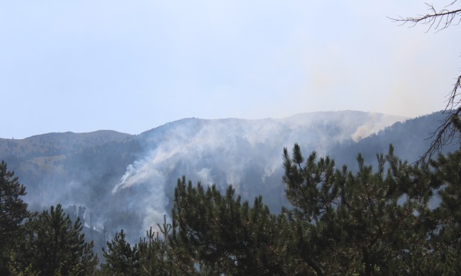 И гръцки огнеборци гасят пожара по границата с България