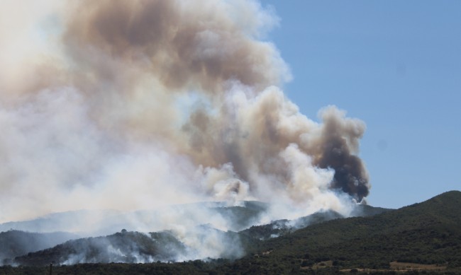 Пожарът край Струмяни е обхванал към 30 хиляди дка гора