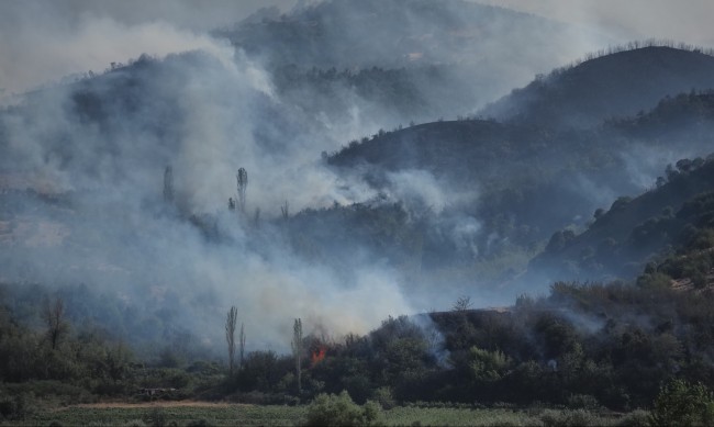 Две села са евакуирани заради пожара край Струмяни, 30 пожарни гасят огъня