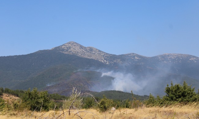 Каква е ситуацията с пожарите в България? 