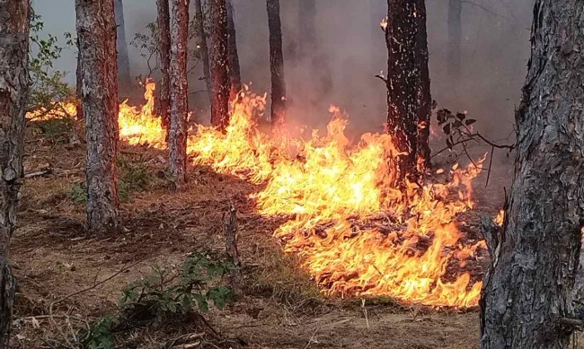 Пожарът в Славянка не е овладян, испанци помагат