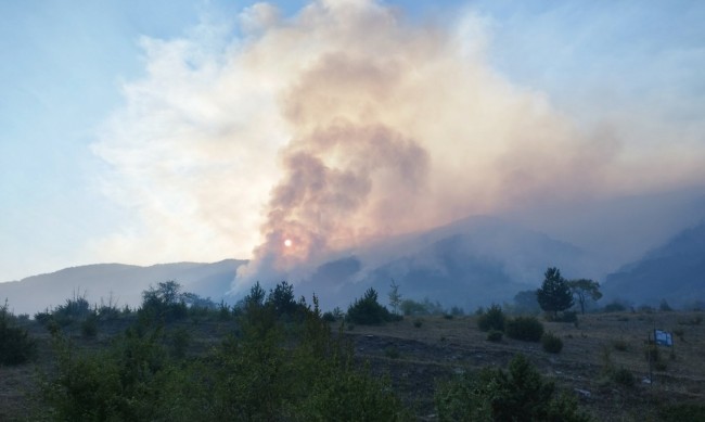 Голям пожар пламна до харманлийското село Черепово 