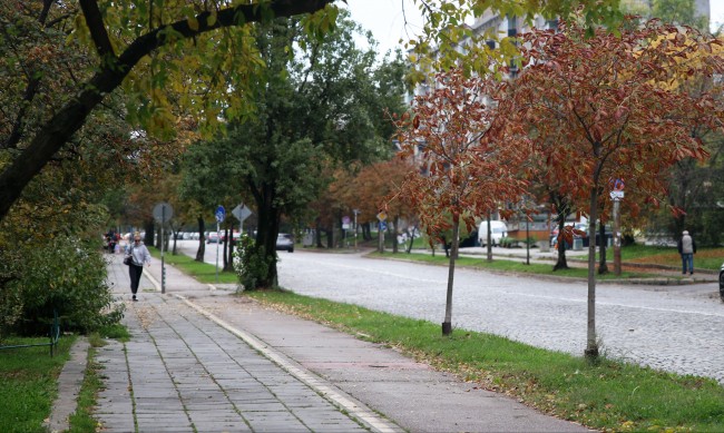 Новата седмица започва със слънчево време и хладни утрини