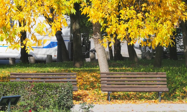 Студена утрин във вторник, през деня – слънчево и приятно